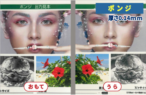 ポンジ